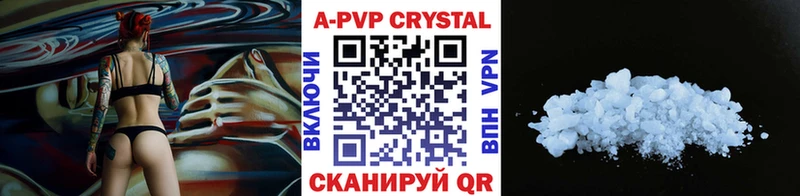 A PVP СК КРИС Поворино