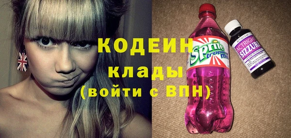 индика Лихославль