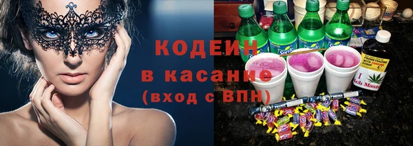 индика Лихославль
